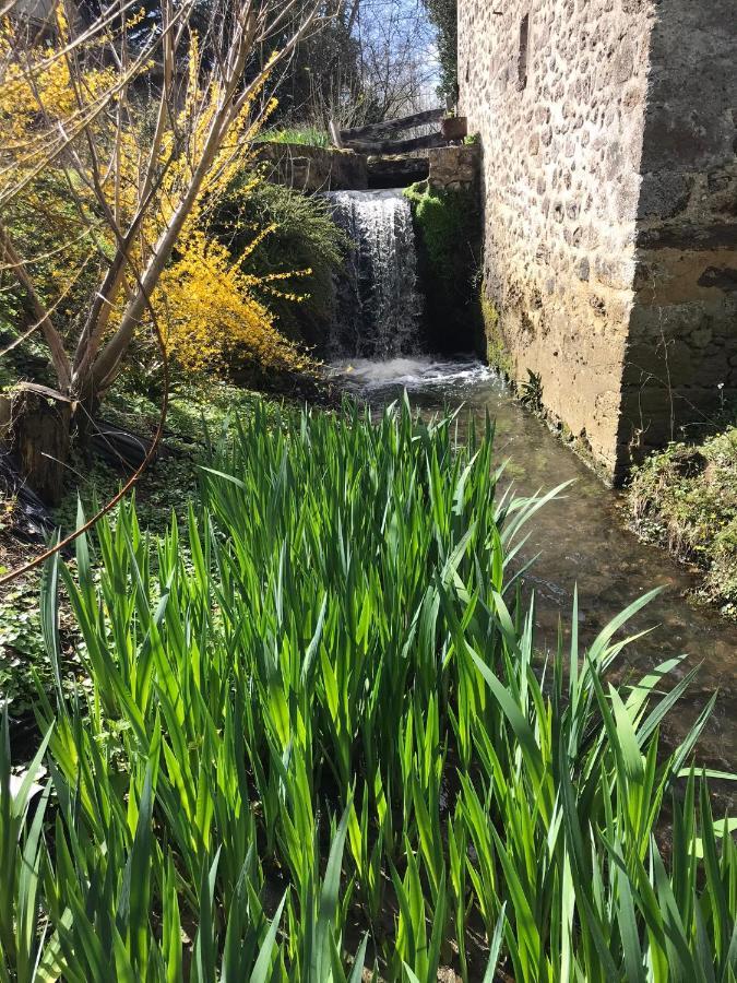 Ancien Moulin Du 18 Ieme Apartment Asse-le-Riboul